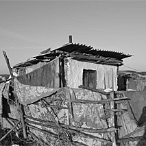 Foto vergrößern Foto vergrößern