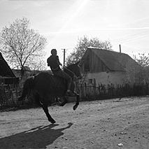 Foto vergrößern Foto vergrößern